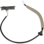 Order Trunk Or Hatch Switch by BLUE STREAK (HYGRADE MOTOR) - LSW109 For Your Vehicle