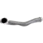 Order VAICO - V10-3817 - Intercooler Hose For Your Vehicle