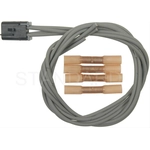 Order Underhood Lamp Connector by BLUE STREAK (HYGRADE MOTOR) - S1051 For Your Vehicle