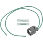 Order BLUE STREAK (HYGRADE MOTOR) - S2342 - Electrical Connector For Your Vehicle