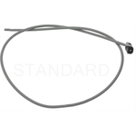 Order Underhood Lamp Connector by BLUE STREAK (HYGRADE MOTOR) - S908 For Your Vehicle