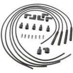 Order Universal Resistor Ignition Wire Set by BLUE STREAK (HYGRADE MOTOR) - 23401 For Your Vehicle