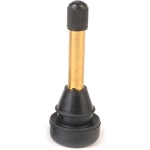 Order 31 INCORPORATED - 17-802HP-10 - Tire Valve For Your Vehicle