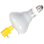 Order BAYCO - LBC-400 - Light Bulb Changer Head fits Recessed and Track Lighting bulbs For Your Vehicle