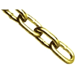 Order DYNALINE - 70026 - Transport Chain For Your Vehicle