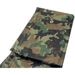 Order ERICKSON MANUFACTURING LTD. - 57005 - 10′ x 12′ Mid Grade Poly Tarps For Your Vehicle