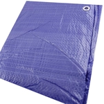 Order ERICKSON MANUFACTURING LTD. - 57006 - 10′ x 12′ Economy Grade Poly Tarps For Your Vehicle