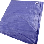 Order ERICKSON MANUFACTURING LTD. - 57007 - 12′ x 16′ Economy Grade Poly Tarps For Your Vehicle