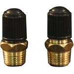 Order MILTON - S-684 - 1/8" MNPT Male Tank Valve For Your Vehicle
