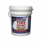 Order NLS - 95577 - Tire Sealant & Pump For Your Vehicle