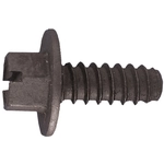 Order PAPCO - 245-903 - 14 x 5/8" INDT HX Washer Licence Plate Screws Black Zinc For Your Vehicle