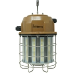 Order SOUTHWIRE CORP. - T60100 - Lumen LED Overhead For Your Vehicle