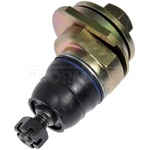 Order DORMAN (OE SOLUTIONS) - 539-019 - Upper Ball Joint For Your Vehicle