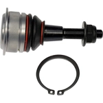Order DORMAN PREMIUM - BJ81236XL - Upper Ball Joint For Your Vehicle
