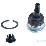 Order Upper Ball Joint by DORMAN PREMIUM - B90255XL For Your Vehicle