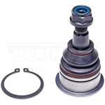 Order Upper Ball Joint by DORMAN PREMIUM - BJ81016XL For Your Vehicle