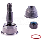 Order Upper Ball Joint by DORMAN PREMIUM - BJ81206XL For Your Vehicle