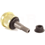 Order TRANSIT WAREHOUSE - TOR-K7460 - Upper Ball Joint For Your Vehicle