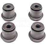 Order Upper Control Arm Bushing Or Kit by DORMAN PREMIUM - BB6417PR For Your Vehicle