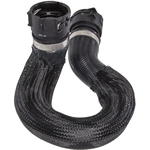 Order Upper Radiator Or Coolant Hose by CRP/REIN - CHR0541 For Your Vehicle