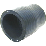 Order Upper Radiator Or Coolant Hose by URO - 1032030082 For Your Vehicle