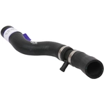 Order Upper Radiator Or Coolant Hose by URO - 12787608 For Your Vehicle
