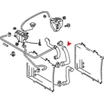 Order Tuyau de radiateur ou de refroidissement supérieur by URO - 2025011282 For Your Vehicle