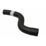 Order URO - 92810623806 - Radiator Hose For Your Vehicle