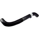 Order URO - C2Z5088 - Radiator Hose For Your Vehicle