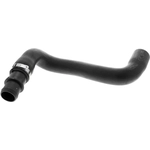 Order Upper Radiator Or Coolant Hose by VAICO - V20-2462 For Your Vehicle