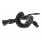 Order Upper Radiator Or Coolant Hose by VAICO - V10-4288 For Your Vehicle