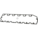 Order Valve Cover Gasket by BLUE STREAK (HYGRADE MOTOR) - VCG1 For Your Vehicle