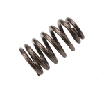 Order ACDELCO - 12686721 - Valve Spring For Your Vehicle