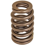 Order ACDELCO - 12706568 - Valve Spring For Your Vehicle