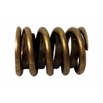 Order SEALED POWER - VS678 - Valve Spring (Pack of 8) For Your Vehicle