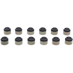 Order MAHLE ORIGINAL - SS45796A - Valve Stem Oil Seal Set For Your Vehicle