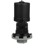 Order BWD AUTOMOTIVE - CP548 - Vapor Canister Purge Solenoid For Your Vehicle
