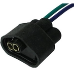 Order Pico Of Canada - 5329-BP - 2 Wire Voltage Regulator For Your Vehicle