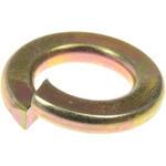 Order Washers by DORMAN - 965-113D For Your Vehicle