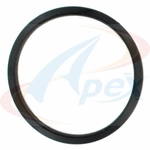 Order Water Outlet Gasket by APEX AUTOMOBILE PARTS - AWO2022 For Your Vehicle