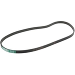Order Water Pump Belt by MITSUBOSHI - 4PK1050 For Your Vehicle