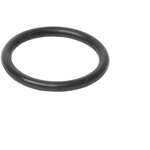 Order Water Pump Housing Gasket by URO - 11531710048 For Your Vehicle