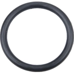 Order Water Pump Housing Gasket by URO - 11531710048 For Your Vehicle