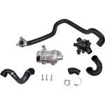 Order Water Pump Kit by CRP/REIN - WPS0502 For Your Vehicle