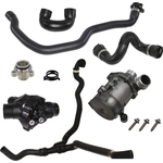 Order Water Pump Kit by CRP/REIN - WPS0509 For Your Vehicle