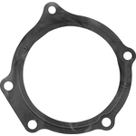 Order Water Pump Mounting Gasket by ACDELCO - 251-2029 For Your Vehicle
