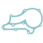 Order APEX AUTOMOBILE PARTS - AWP3038 - Engine Water Pump Gasket For Your Vehicle