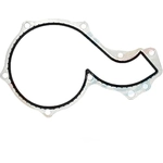 Order APEX AUTOMOBILE PARTS - AWP3064 - Engine Water Pump Gasket For Your Vehicle