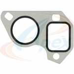Order Water Pump Mounting Gasket by APEX AUTOMOBILE PARTS - AWP3016 For Your Vehicle