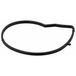 Order Water Pump Mounting Gasket by ELRING - DAS ORIGINAL - 387.590 For Your Vehicle